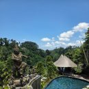 MARINE K POOL VILLA | 발리 우붓 정글 숙소 내돈내산 추천 ㅣ더 카욘 밸리 리조트(The Kayon Valley Resort) 숙박 솔직 찐후기...