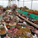 김재성농장 이미지