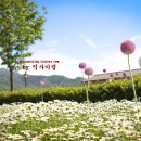 섬진강순환1 이미지