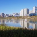 망월천_호수공원1 이미지