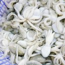 탄탄쭈꾸미 이미지