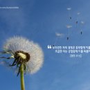잠언라이프 이미지