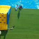 외도펠리스 이미지