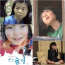 유해정 카카오 검색결과