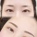 자연눈썹율하점