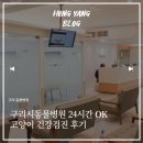 OK동물병원 | 구리시동물병원 24시간 OK, 고양이 건강검진 후기(+마이코플라즈마)