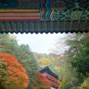 백문장여관 이미지