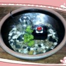 옹달샘분수 이미지