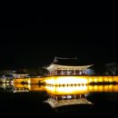 만(晩) | 경주 야경 명소 동궁과 월지 안압지