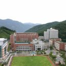 동아의안 이미지