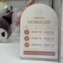 블룸인래쉬 | 화정동 속눈썹, 광주led연장으로 유명한 블룸인래쉬 광주점 후기