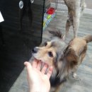 칠곡종합동물병원 이미지