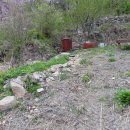 평디기. 된비알. 세이봉(897m). 청년봉. 청룡봉.깃대봉.수장산(557m).백적산/충북단양영춘 이미지