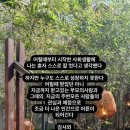 성공과 행복 이미지