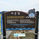 정들고펜션 이미지