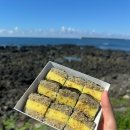 서귀동 189-6 | 제주도3일차 남쪽여행ㅣ제주김만복, 중섭의집, 정방폭포, 쇠소깍, 카약, 올레시장 먹거리