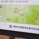 계곡막국수 이미지
