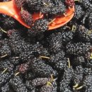 경동삼우한약국 이미지