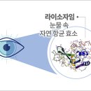 다비치안경 덕소삼거리점 이미지
