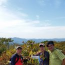 상봉목장 이미지