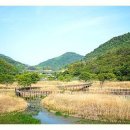 옥순봉로 이미지