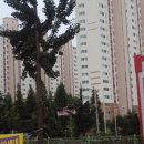 서광프리메라 이미지