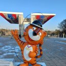 호돌이카 이미지