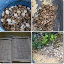 김영농장 이미지