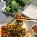 별빛애견 이미지