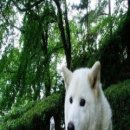 낼름 낼름 이미지