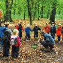 숲속유치원 이미지