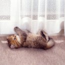 은계동물병원 이미지