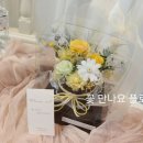 플로라온 이미지