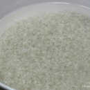 녹두랑전이랑 이미지