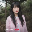 선재담 이미지