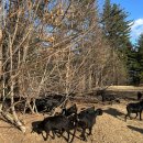 팔미농장 이미지