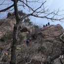 영암실내체육관 이미지