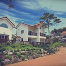 지중해펜션 이미지