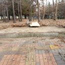 구민운동장 이미지