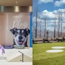 충주호리조트관광호텔 이미지