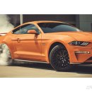 365카모터스 이미지