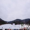훼미리스키 티스토리