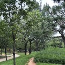 신안평거녹지 이미지