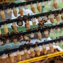 낙화담캠핑장 이미지