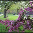 봄날의 헬스클럽 이미지