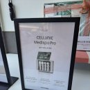 웰메디 | 김해 세라젬 웰카페 웰니스권으로 피부관리 메디스파 후기