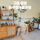 아우첼라플라워 이미지