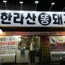 한라산똥돼지 이미지