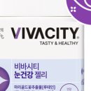 비바시티 VIVACITY 이미지