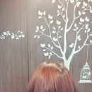 김수경 미용실